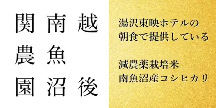 えりごみなみスキー場