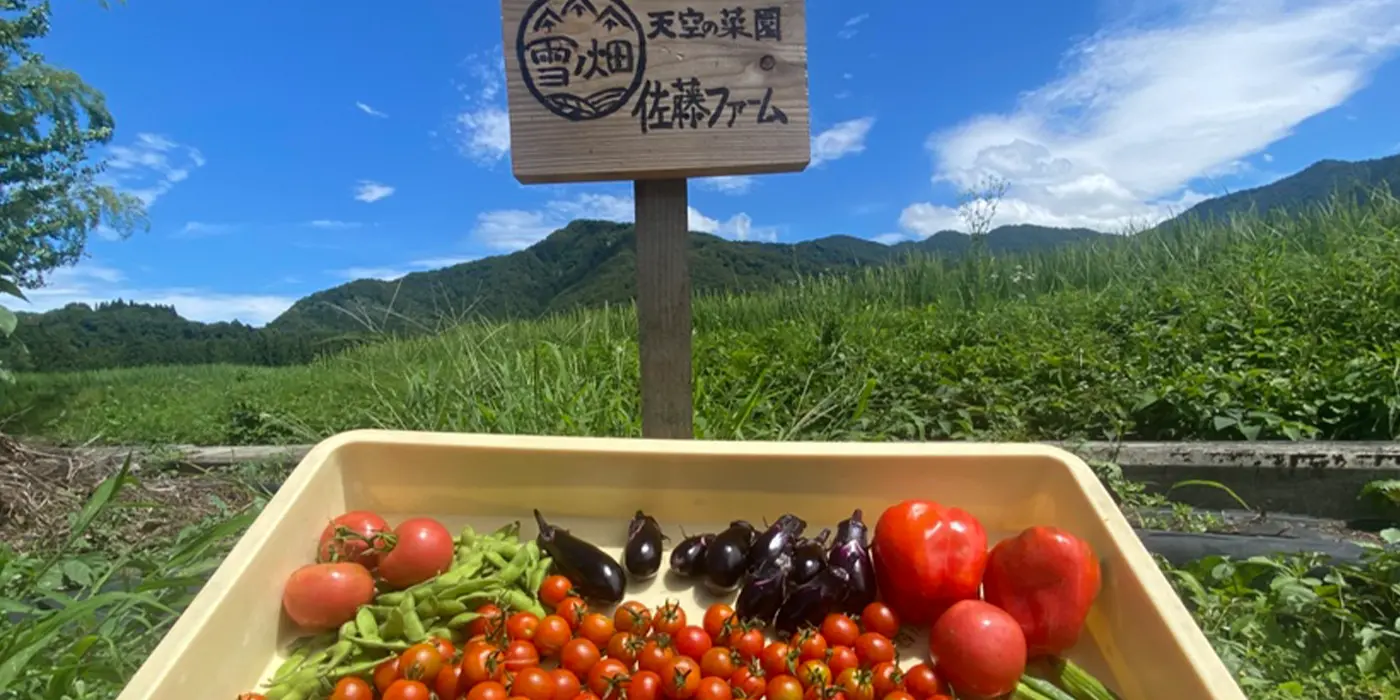 朝市