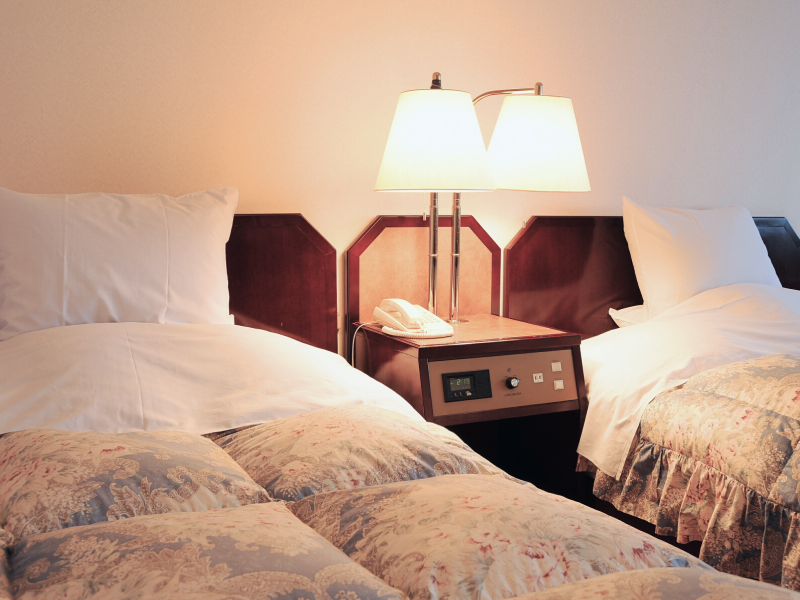 客室からの眺望