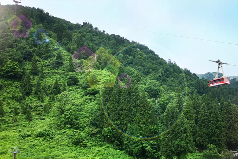 Ski Slope View　グリーンシーズン