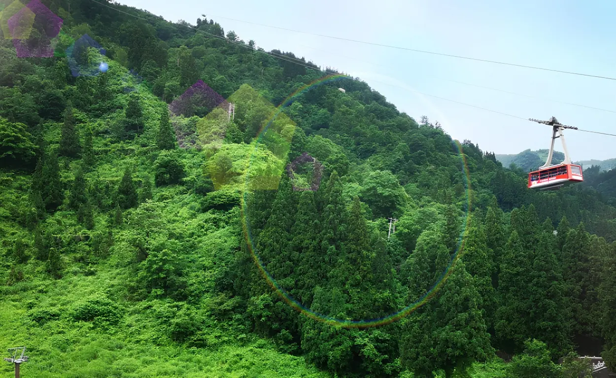 グリーンシーズンの様子